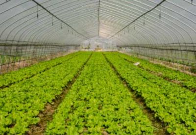 农业部等三部门：开展植保无人飞机应用试点工作