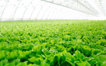 农业部等三部门：开展植保无人飞机应用试点工作