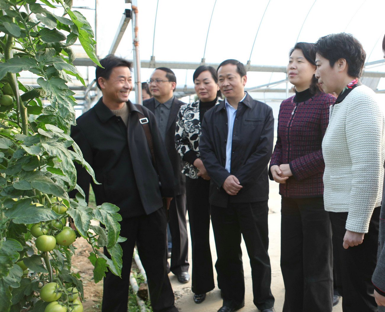 湖北省委常委、政法委书记肖菊华来我公司基地调研指导工作