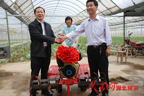 湖北省乡村振兴局党组成员、副局长杨遥来我公司基地调研指导工作