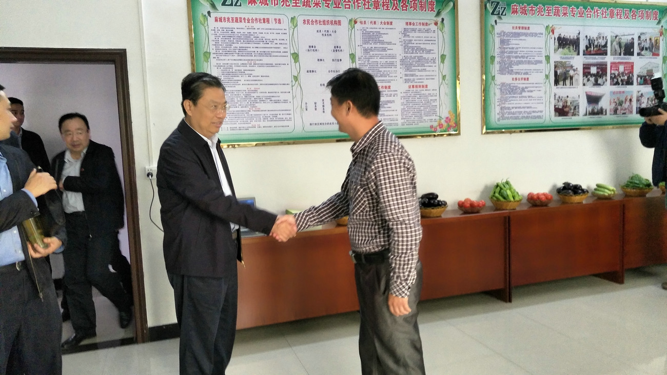 中央政治局常委、全国人大常委会委员长赵乐际来公司视察