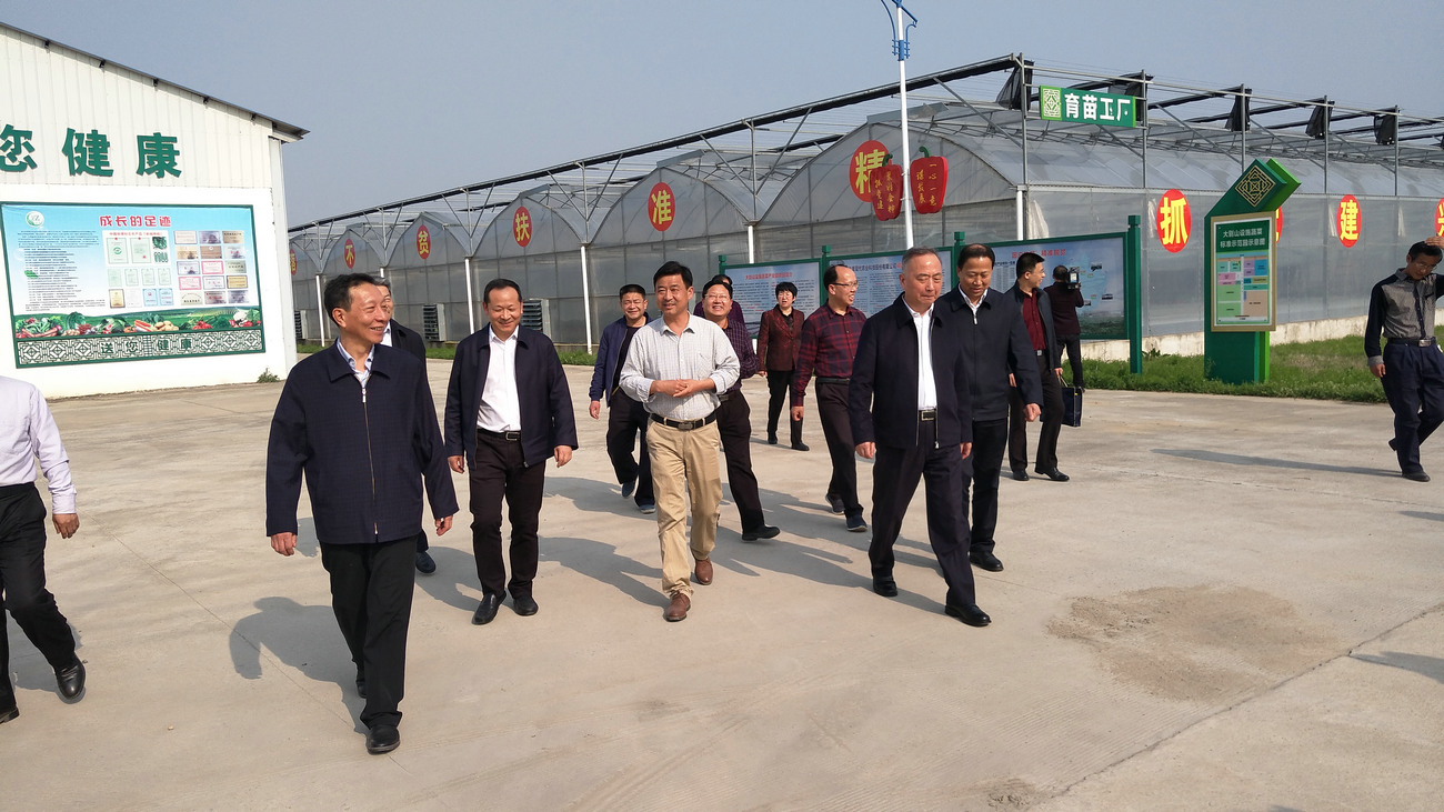 原湖北省政协主席、党组书记徐立全来公司视察指导工作