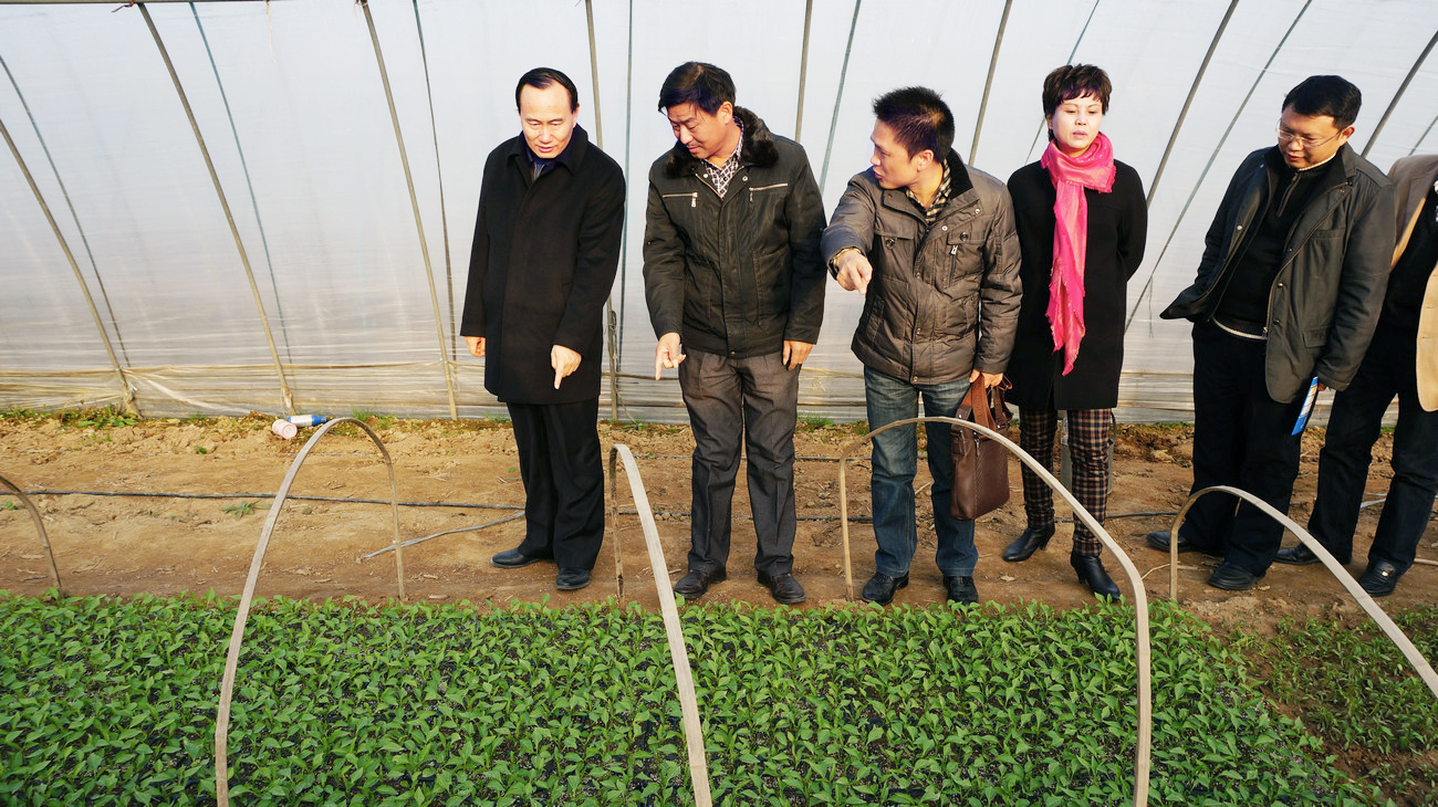 湖北省人大常委、省人大教育科学文化卫生委员会副主任委员、湖北省科学技术厅一级巡视员刘望清来公司基地视察指导工作