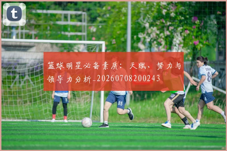 篮球明星必备素质：天赋、努力与领导力分析_20260708200243
