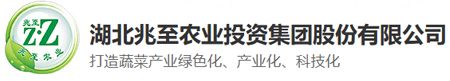湖北古怪猴子试玩官网入口农业投资集团股份有限公司